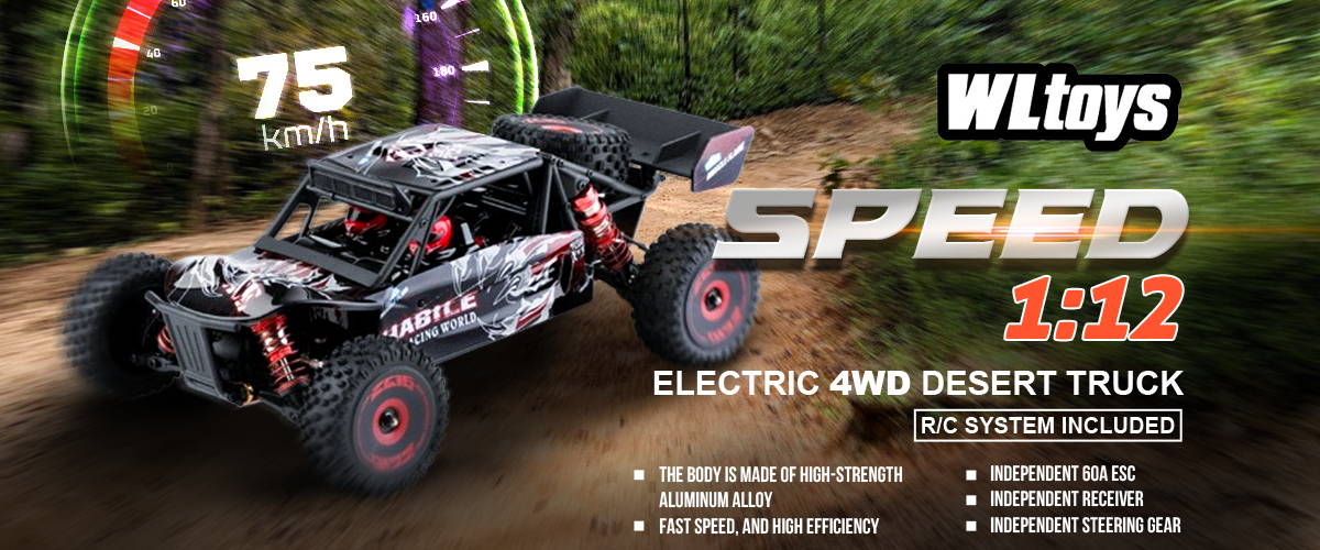 WLToys RC Car HeliDirect